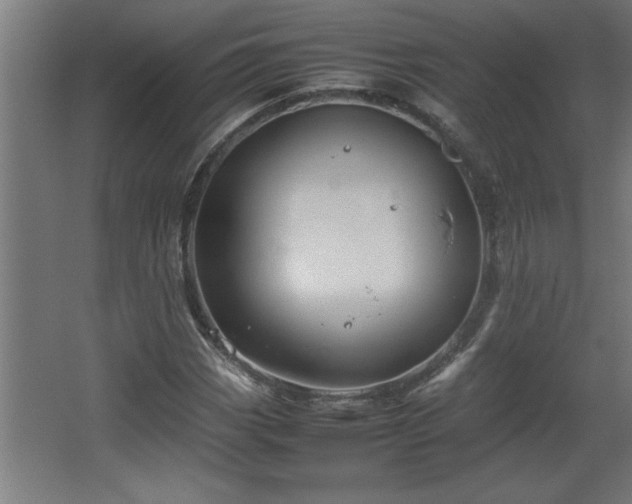 X0000067911113200604201357