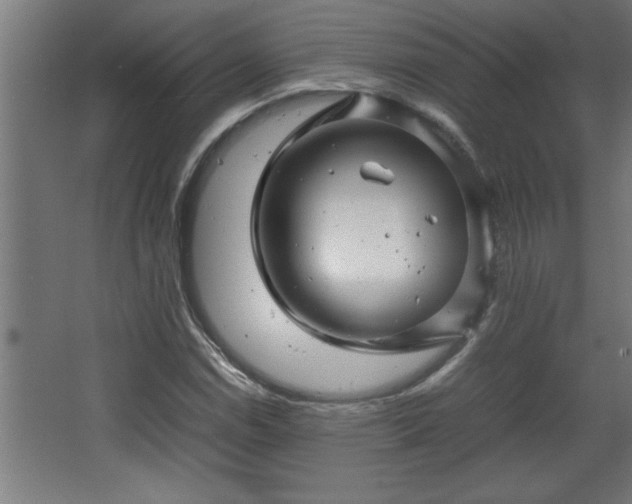 X0000067911114200604201357