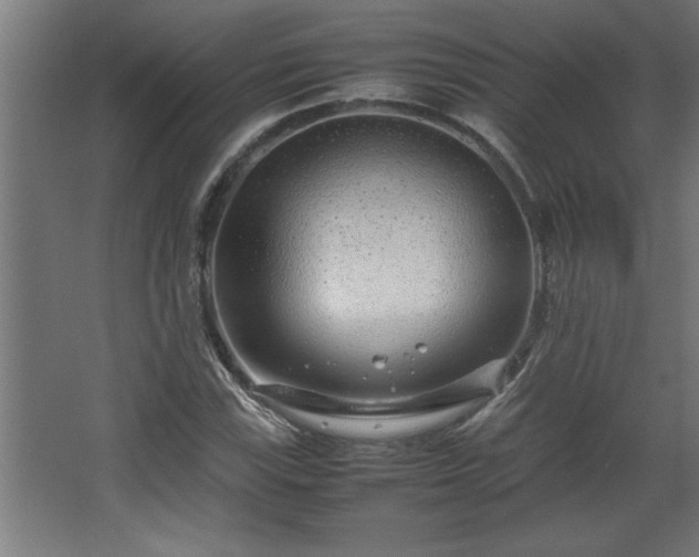 X0000067911115200604201357