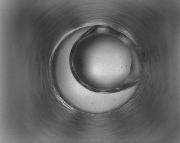 X0000067911116200604201357