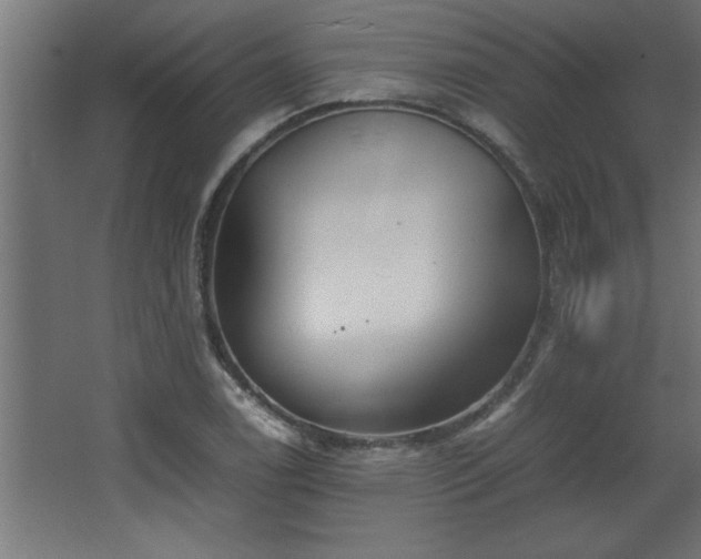 X0000067911122200604201357