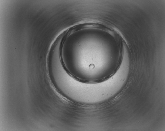 X0000067911124200604201357