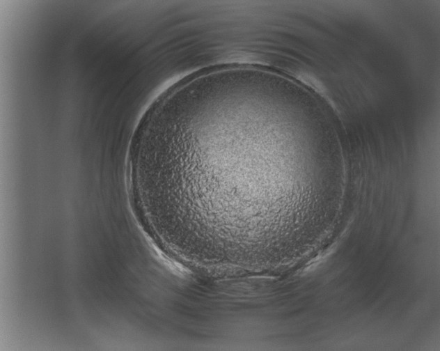 X0000067911125200604201357