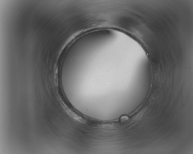 X0000067911126200604201357