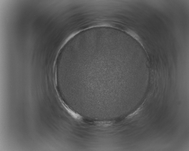 X0000067911127200604201357