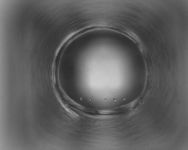 X0000067911128200604201357