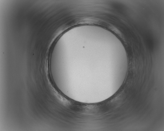 X0000067911130200604201357