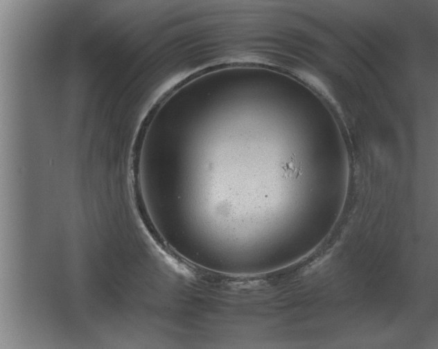 X0000067911133200604201357