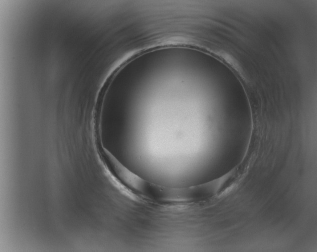 X0000067911134200604201357