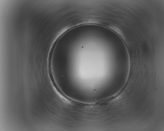 X0000067911135200604201357