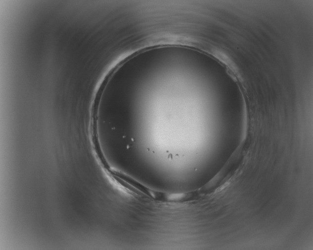 X0000067911136200604201357