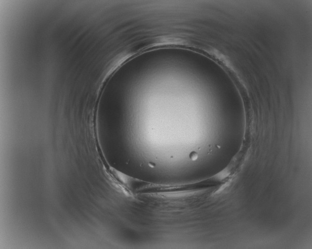 X0000067911137200604201357