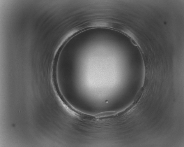 X0000067911139200604201357