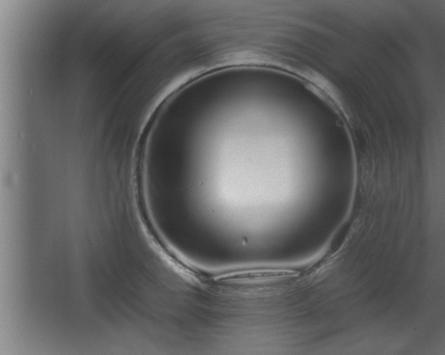 X0000067911142200604201358