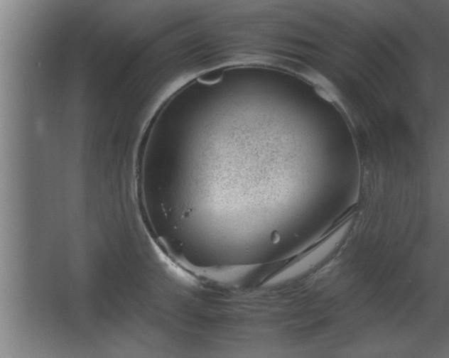 X0000067911143200604201358