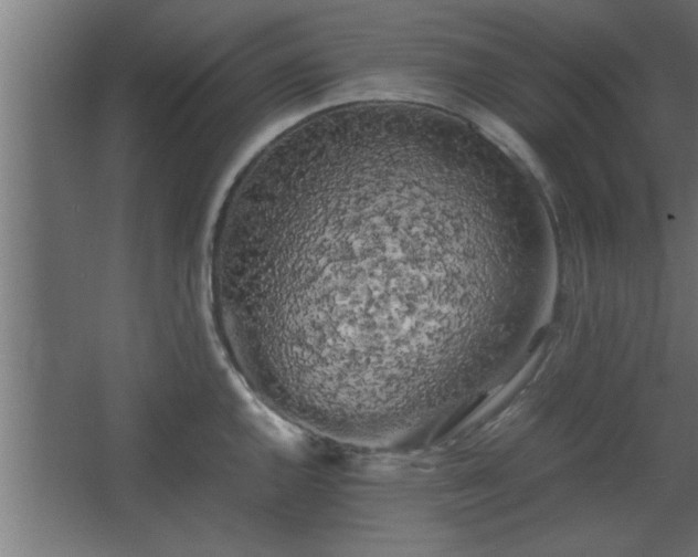 X0000067911144200604201358