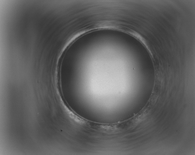 X0000067911147200604201358