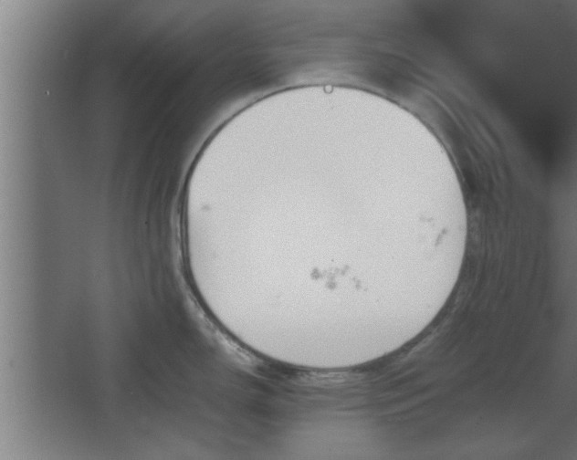 X0000067911150200604201358