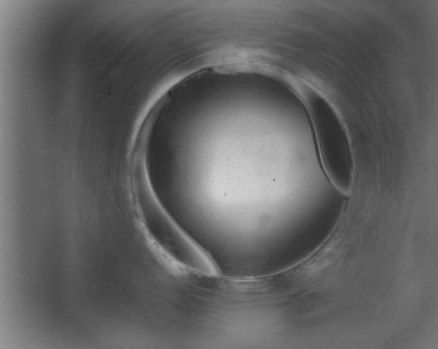 X0000067911152200604201358