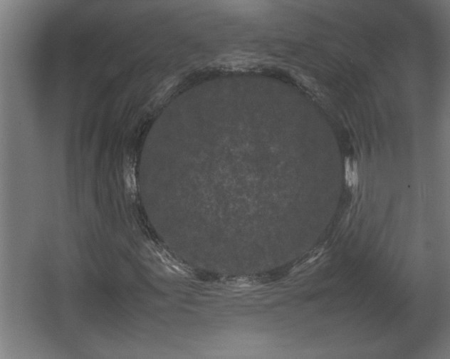 X0000067911155200604201357