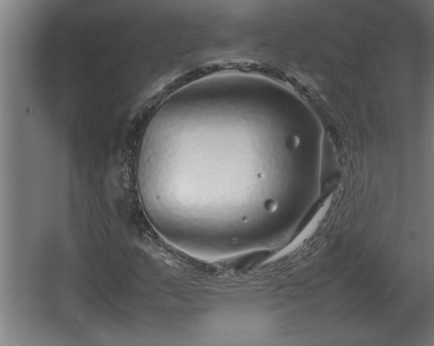 X0000067911159200604201357