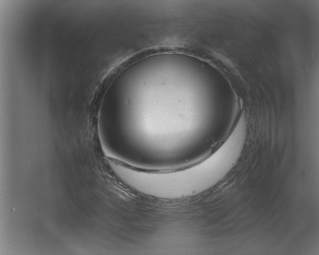 X0000067911160200604201357