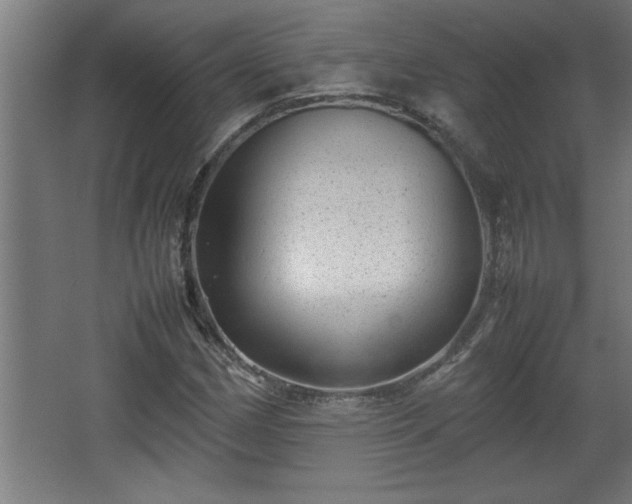 X0000067911162200604201357