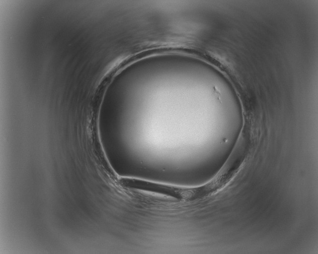 X0000067911163200604201357