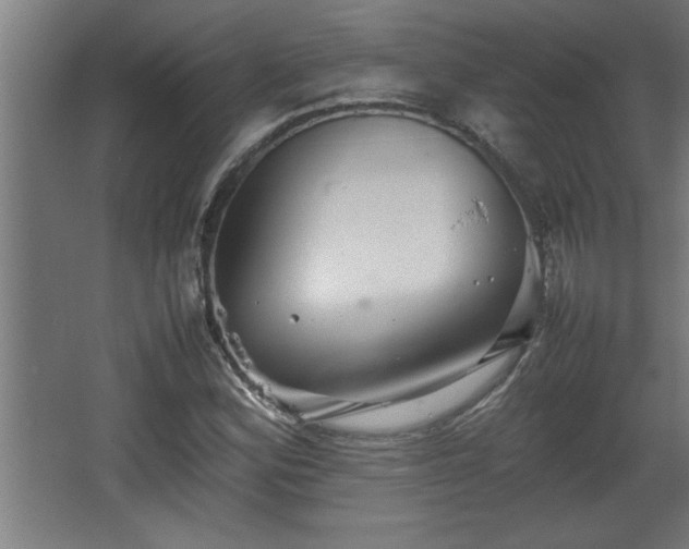 X0000067911164200604201357