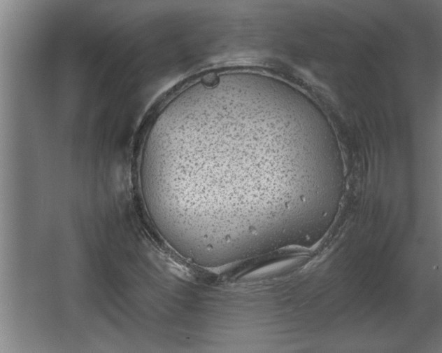 X0000067911166200604201357