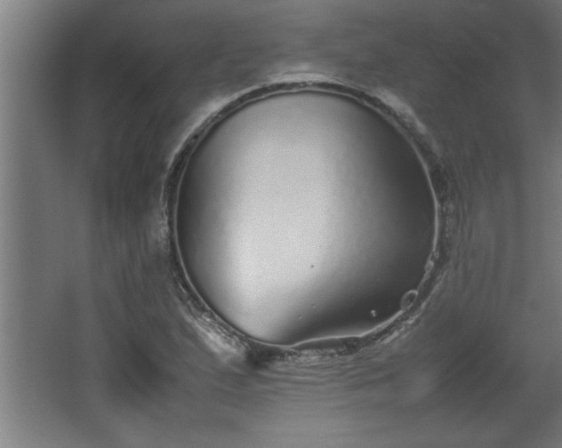 X0000067911167200604201357