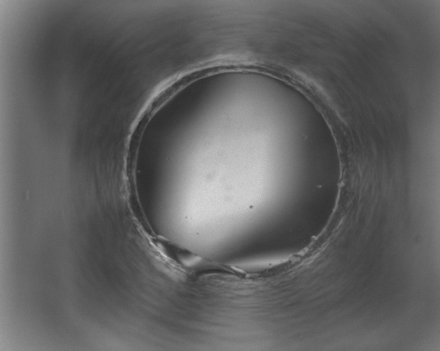 X0000067911168200604201357