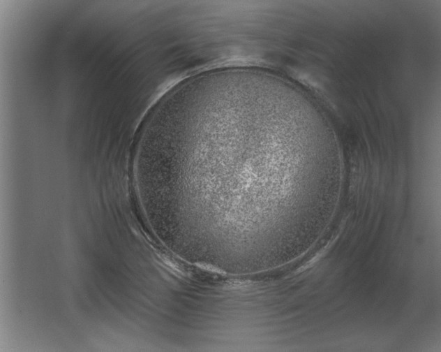 X0000067911170200604201357