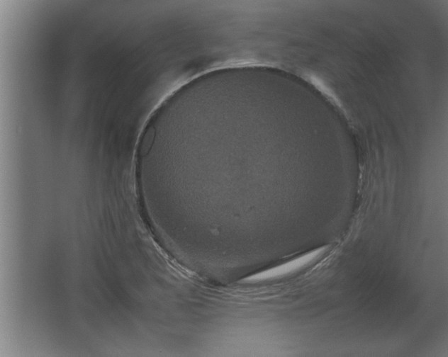 X0000067911173200604201357