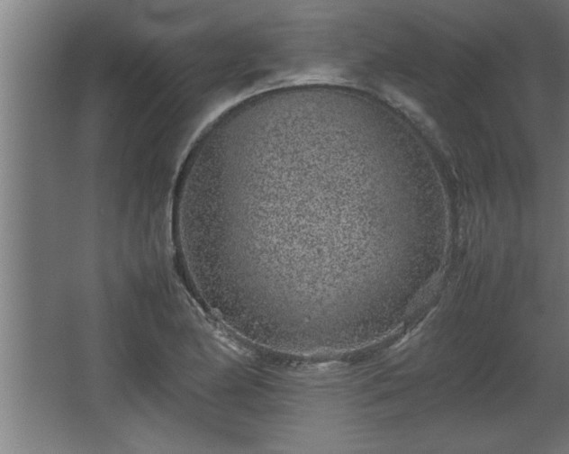 X0000067911174200604201357