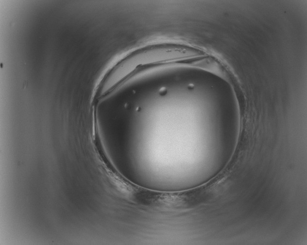 X0000067911175200604201357