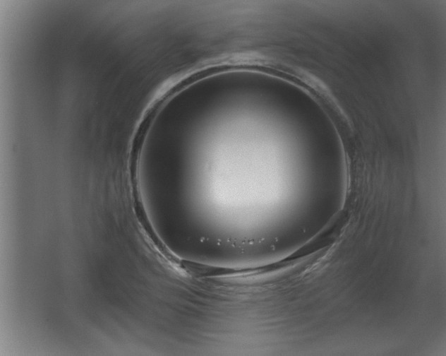 X0000067911176200604201356