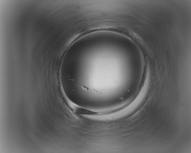 X0000067911177200604201356