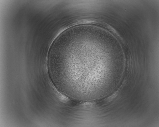 X0000067911178200604201356