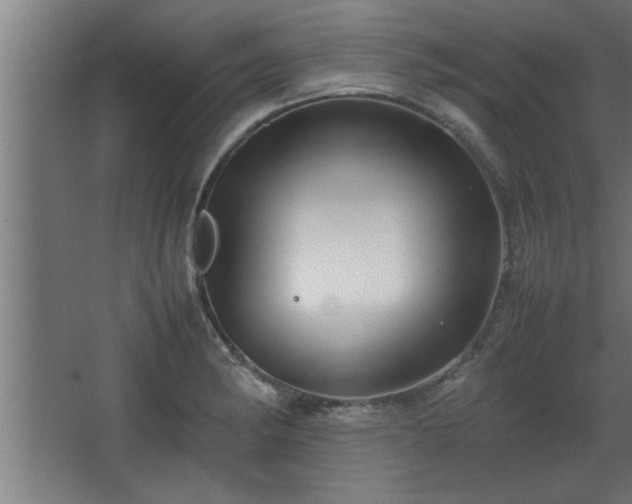 X0000067911182200604201356