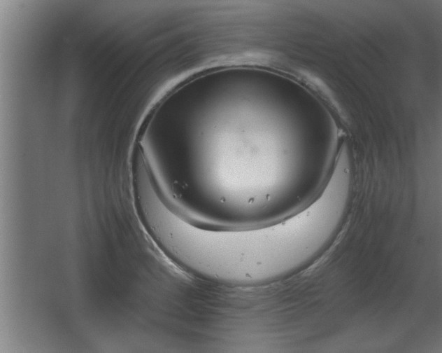 X0000067911184200604201356