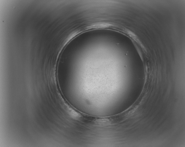 X0000067911186200604201356