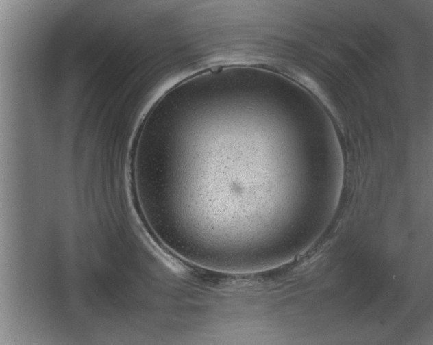 X0000067911187200604201356