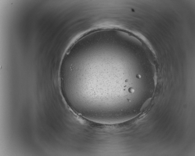 X0000067911191200604201356