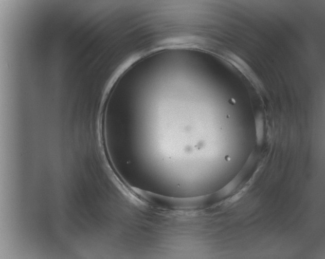 X0000067911196200604201356