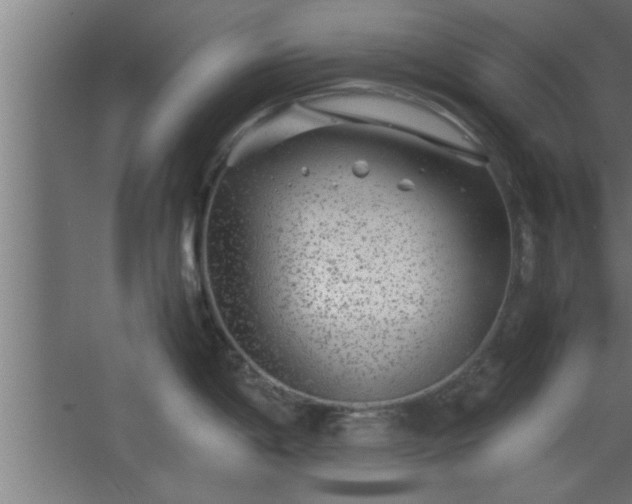 X0000067911198200604201356