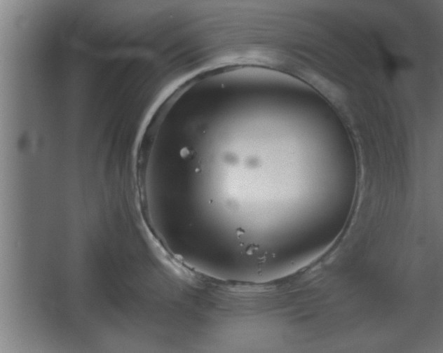 X0000067911200200604201356