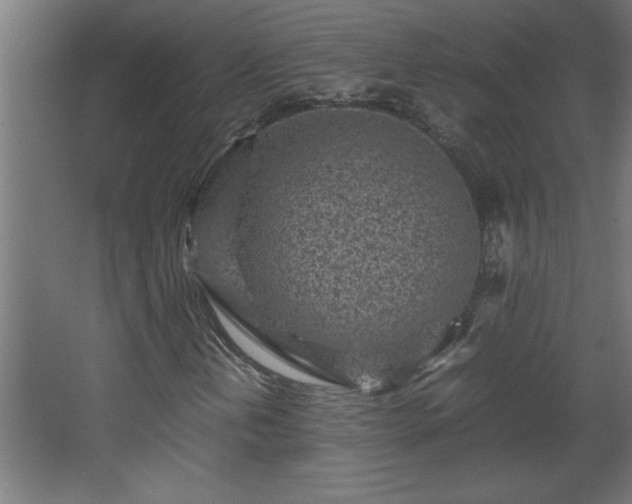 X0000067911202200604201355