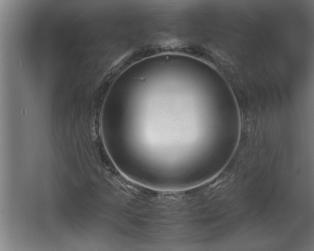 X0000067911205200604201355