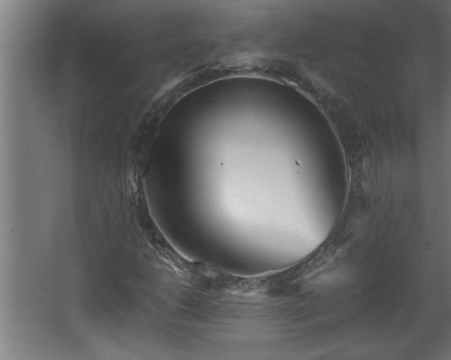 X0000067911206200604201355